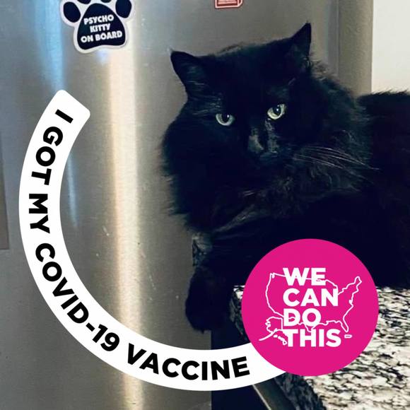 Meet your Posher, Trina - Picture 1 of 1